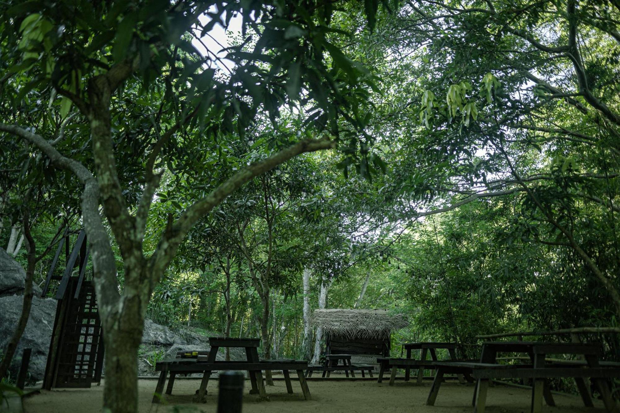 River Glamping By Gaga Bees Uda Walawe Extérieur photo