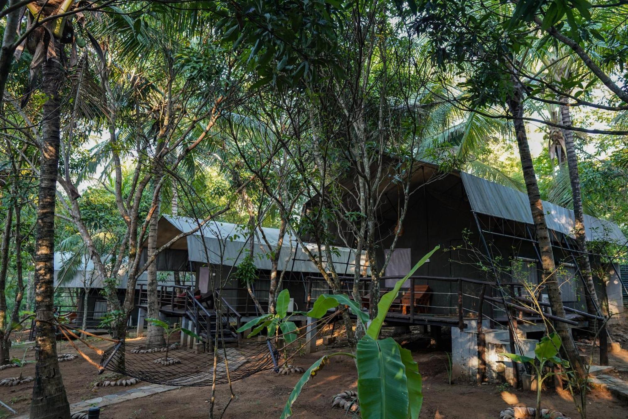 River Glamping By Gaga Bees Uda Walawe Extérieur photo