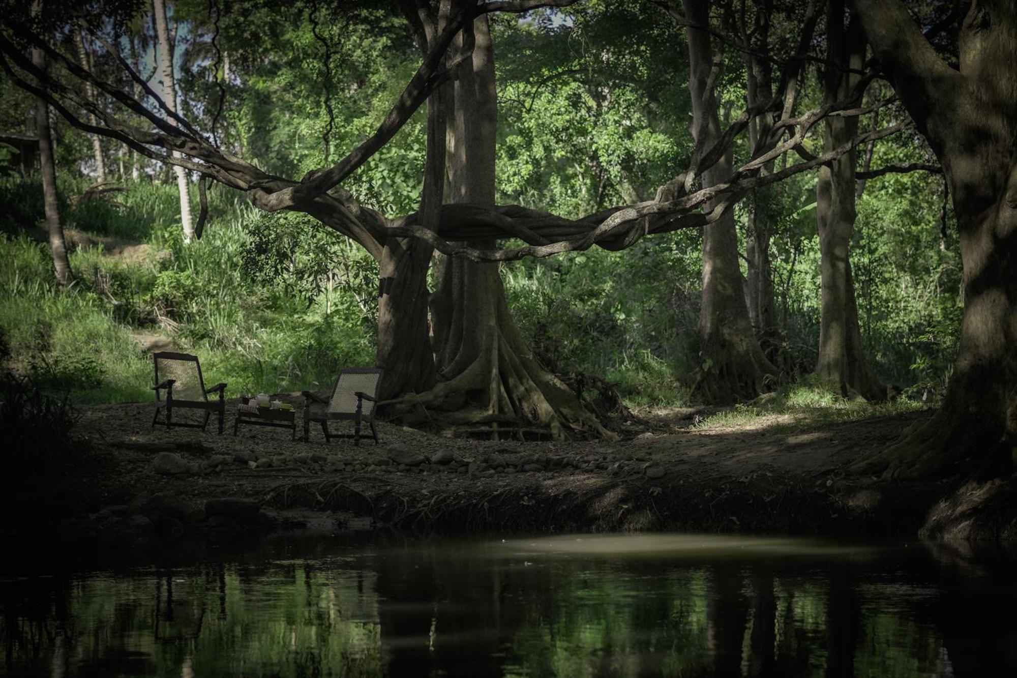 River Glamping By Gaga Bees Uda Walawe Extérieur photo