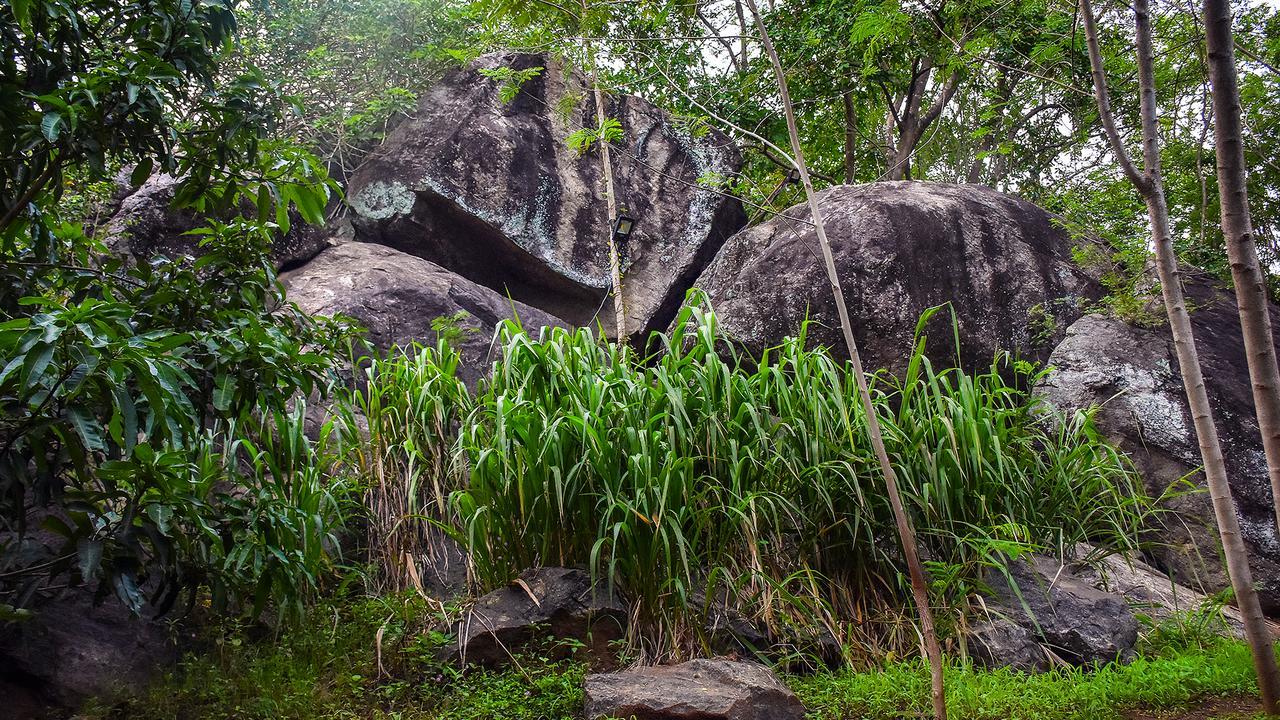 River Glamping By Gaga Bees Uda Walawe Extérieur photo
