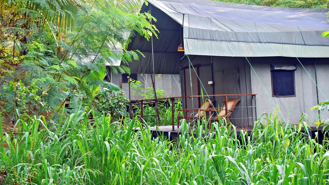 River Glamping By Gaga Bees Uda Walawe Extérieur photo