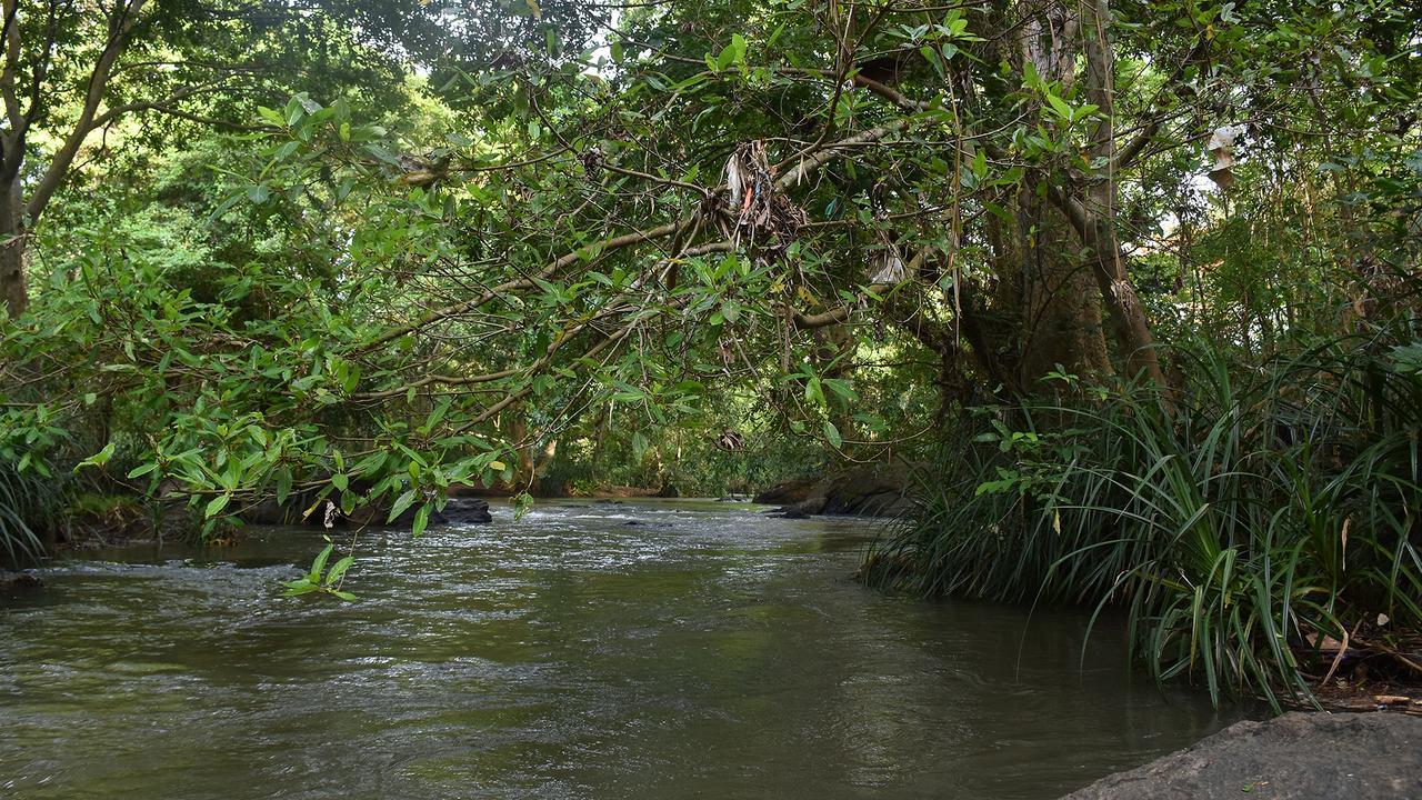 River Glamping By Gaga Bees Uda Walawe Extérieur photo