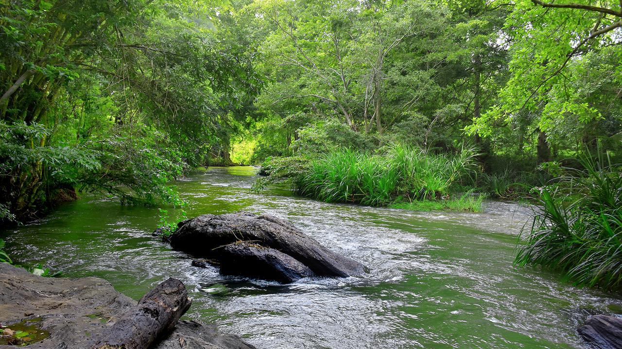 River Glamping By Gaga Bees Uda Walawe Extérieur photo